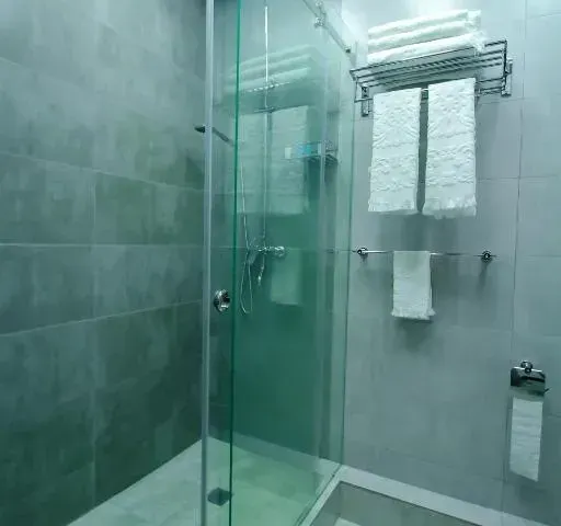 SAFIR BUSINESS HOTEL o 第 8 张照片（共 10 张）