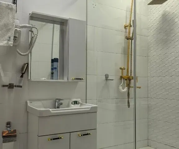 Dushanbe Green Hotel 第 7 张照片（共 10 张）