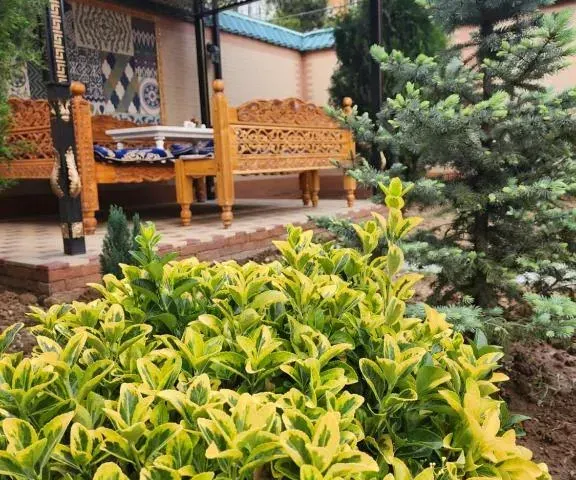 HOTEL DEHLAVI o 第 10 张照片（共 10 张）