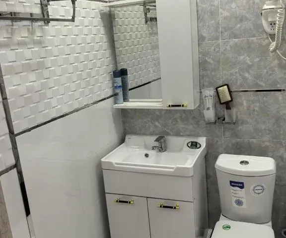 Dushanbe Green Hotel 第 3 张照片（共 10 张）